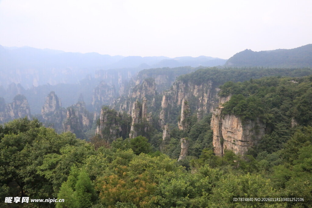 张家界奇峰林立美景