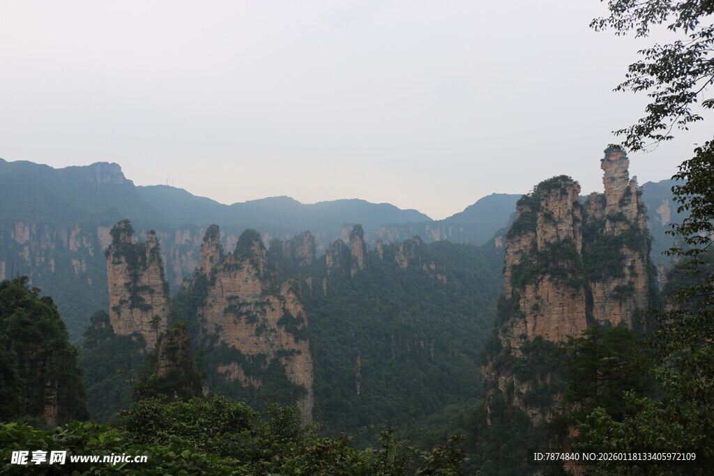张家界奇峰美景