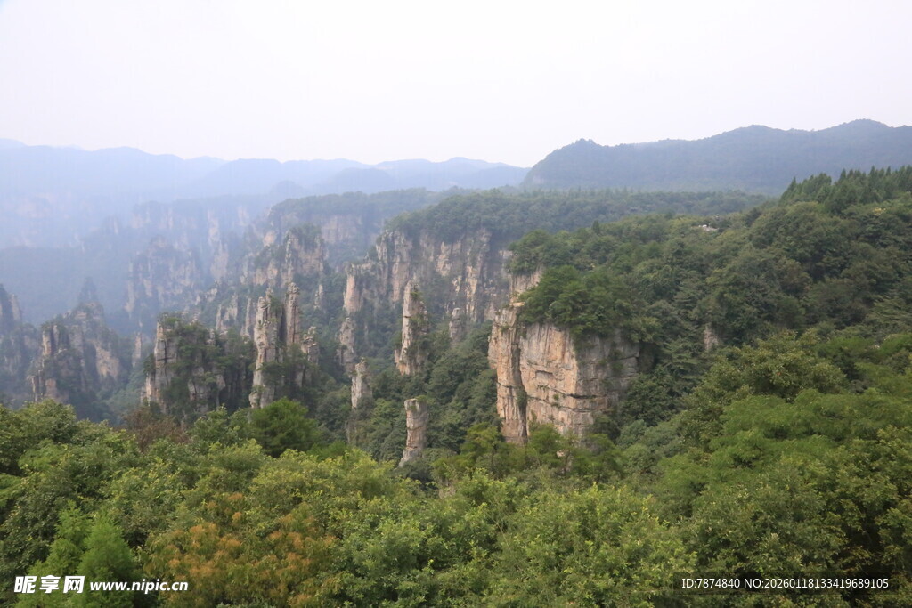 张家界奇峰异石山林景观