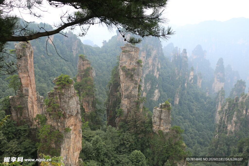 张家界奇峰景观
