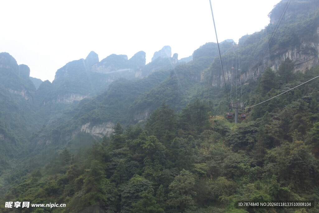 秀丽山峦间的葱郁山林