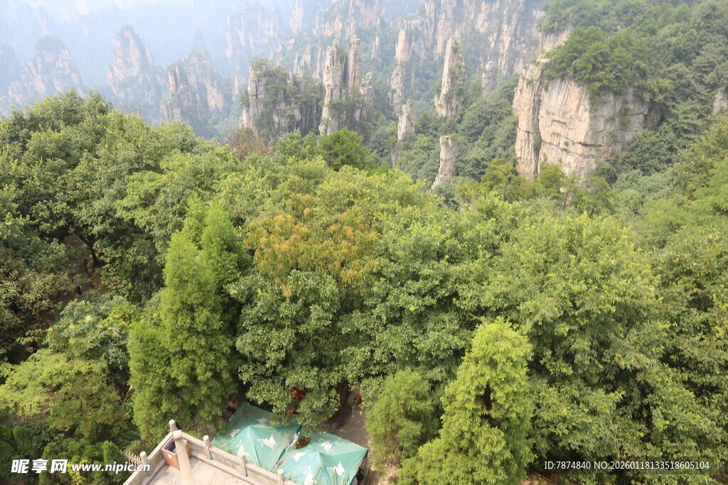 张家界奇峰绿植美景