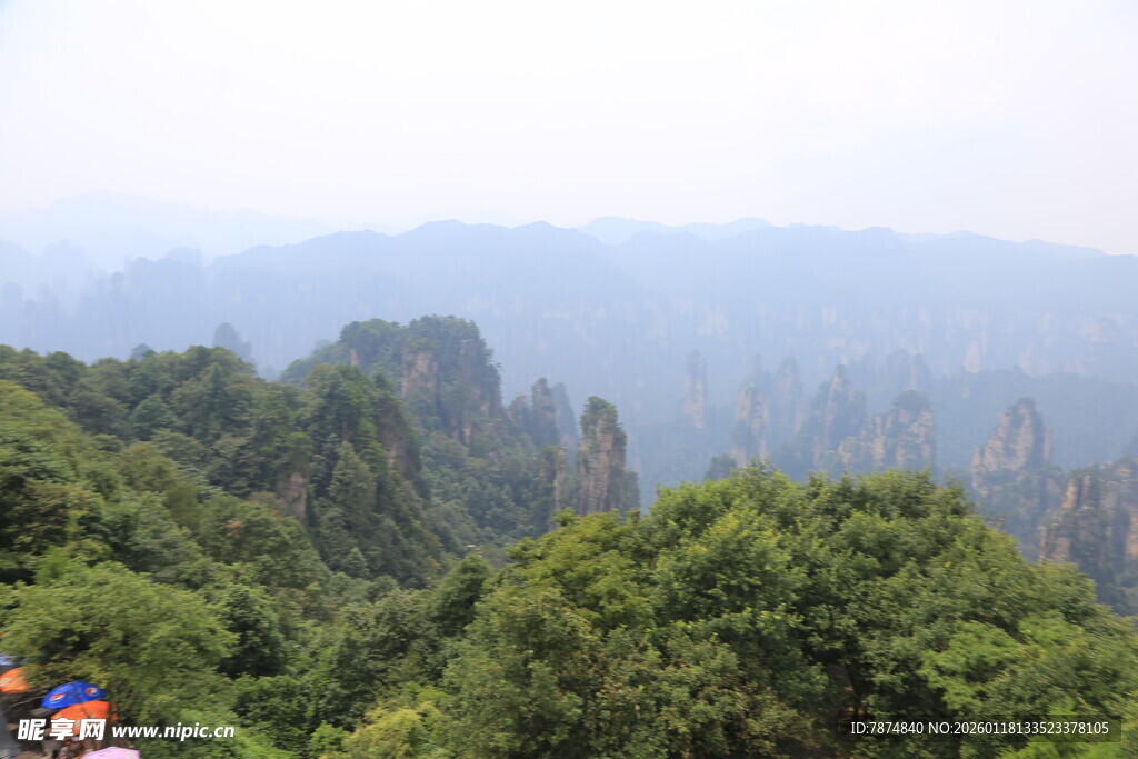 张家界奇峰异林景观