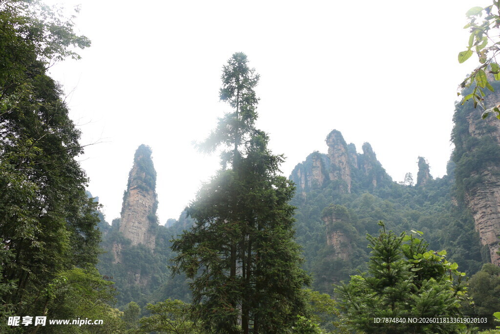 张家界奇峰异石景观
