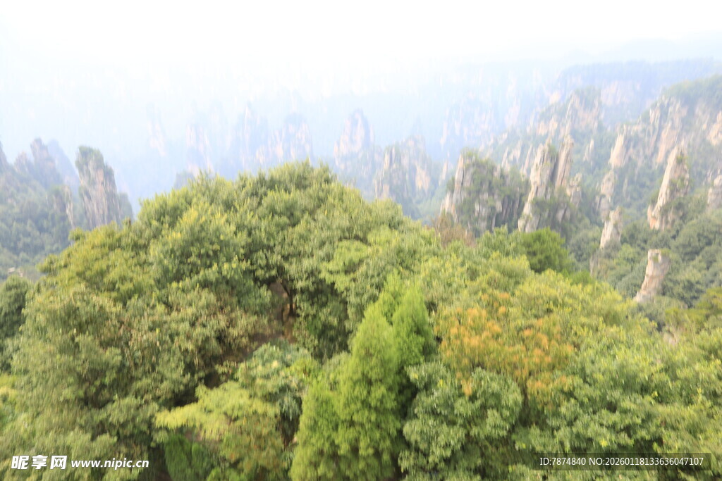 山林葱郁 峰林隐现