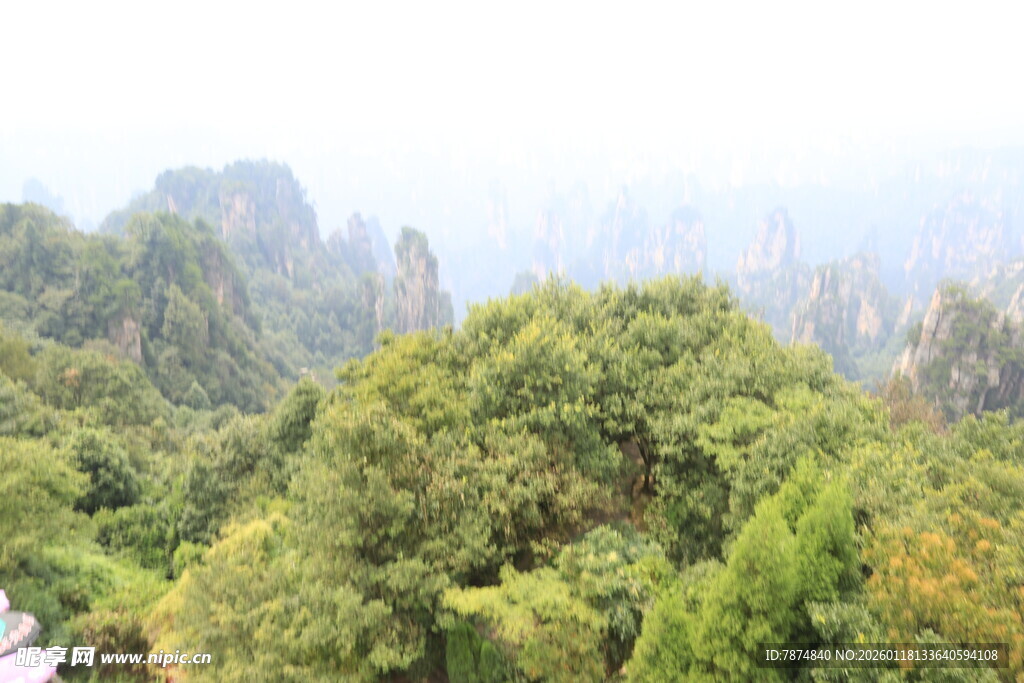 张家界山林美景