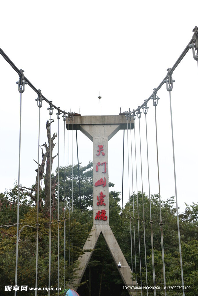 景区吊桥 体验别样风景