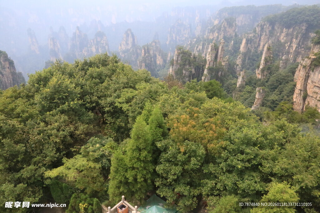 张家界壮美山林景观
