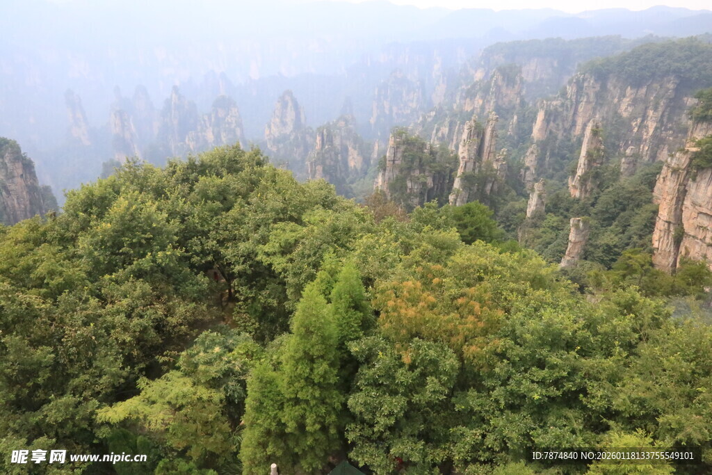 壮美山林景观