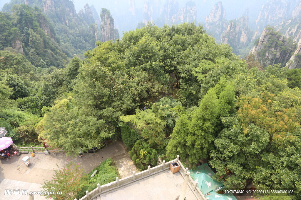 山间绿意景观