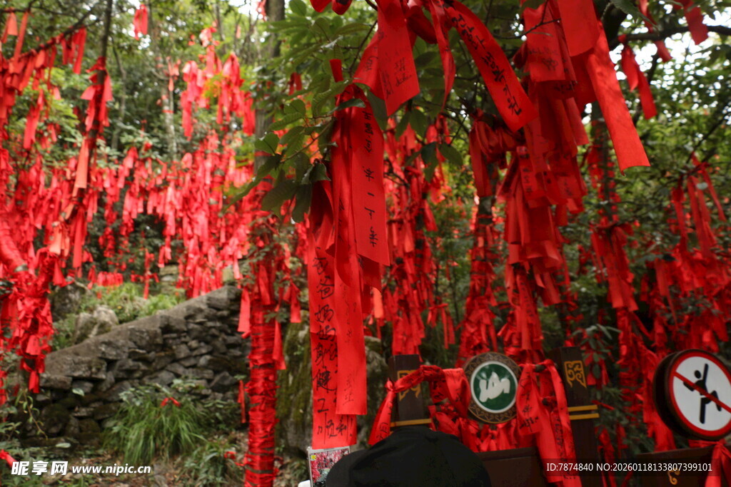 祈福红丝带挂满树枝