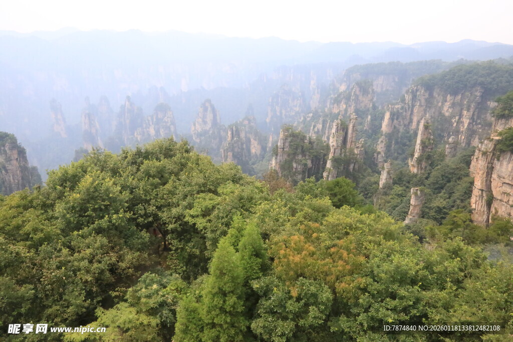 张家界奇峰绿树美景
