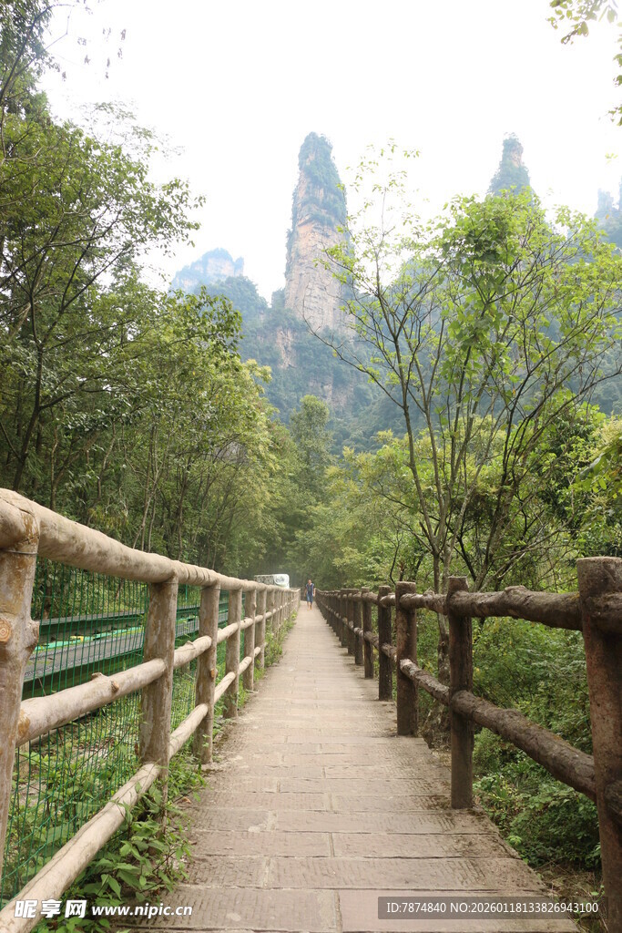 山间木栈道 赏秀丽风光
