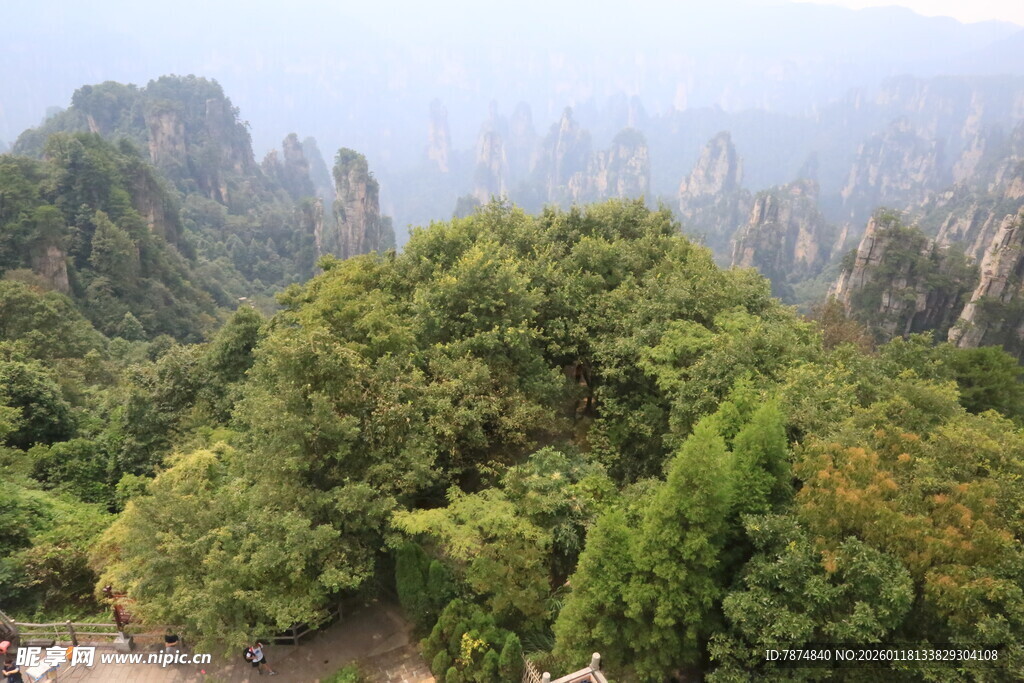 张家界奇峰绿意景观