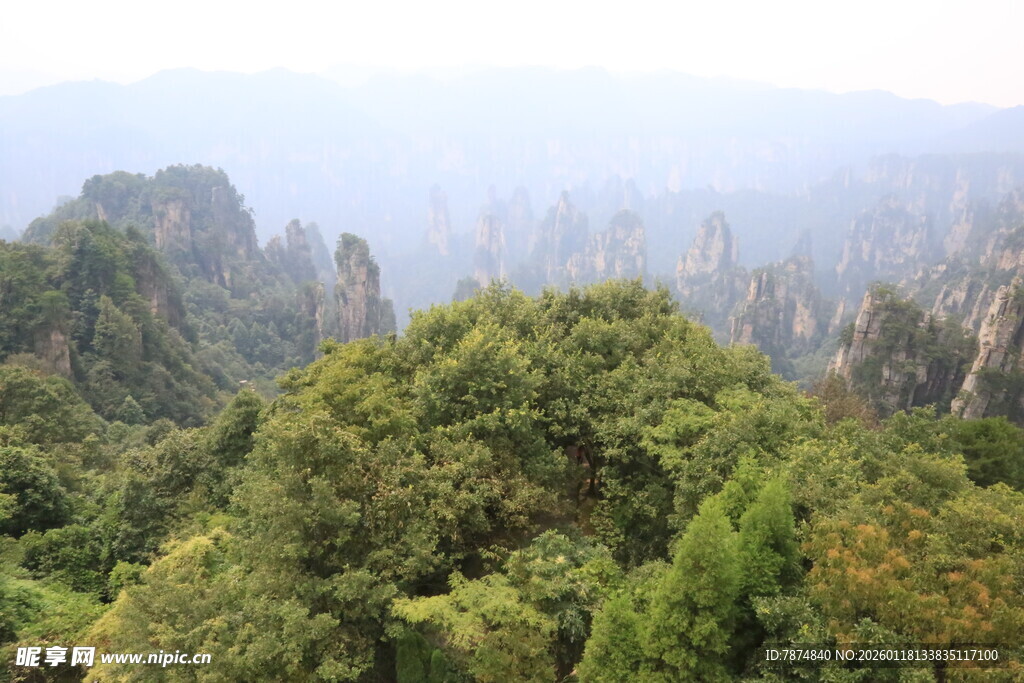 张家界奇峰绿意景观