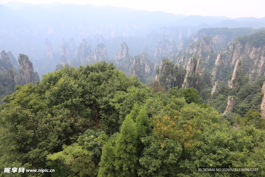 张家界奇峰异林景观