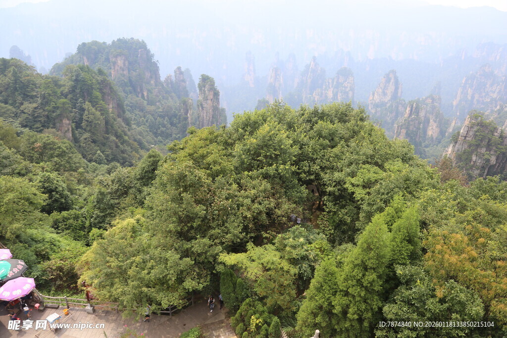 山林间的秀丽自然景致