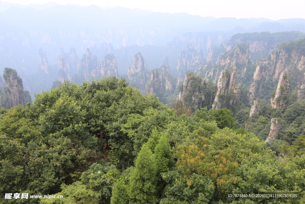 张家界奇峰异林美景