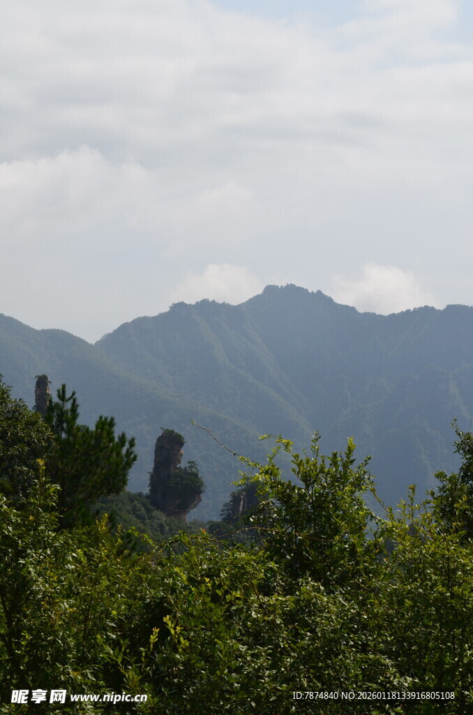 山间绿意与远处山峦景色
