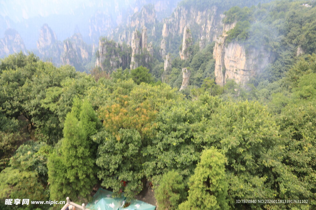 张家界奇峰绿树美景