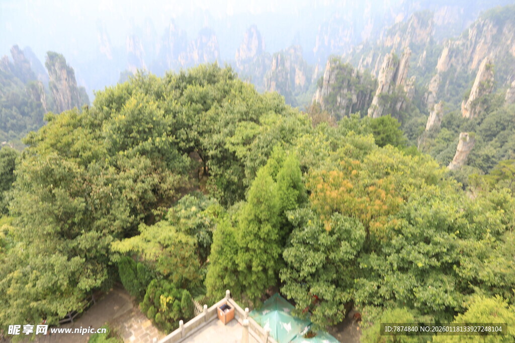 张家界葱郁山林景观