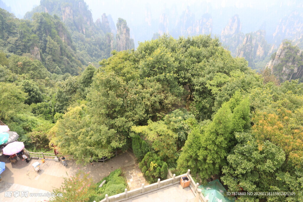 山间绿意景观
