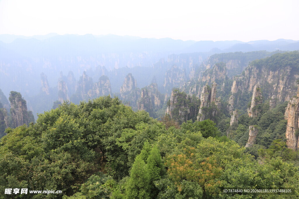 张家界奇峰林立美景