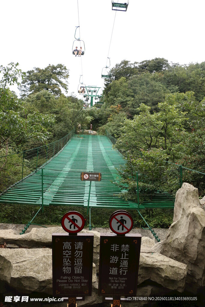 山林间的绿色缆车轨道