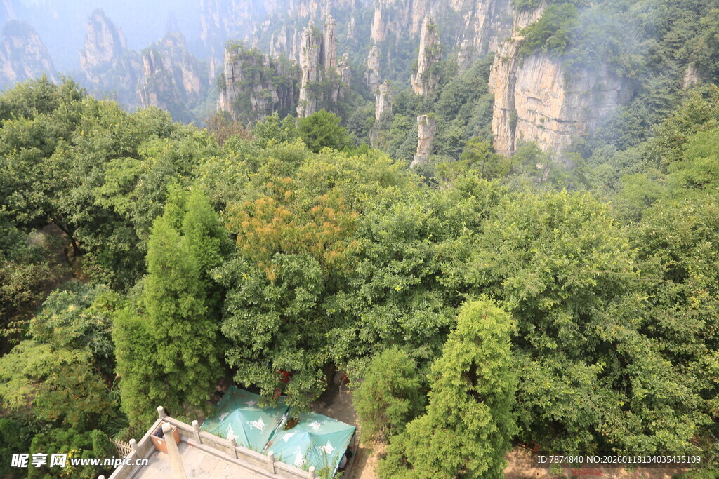 张家界奇峰丛林美景