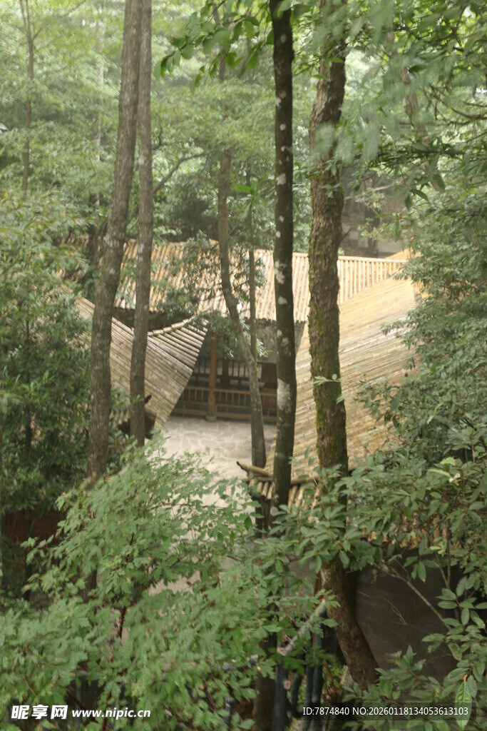 林间小屋隐于葱郁树林