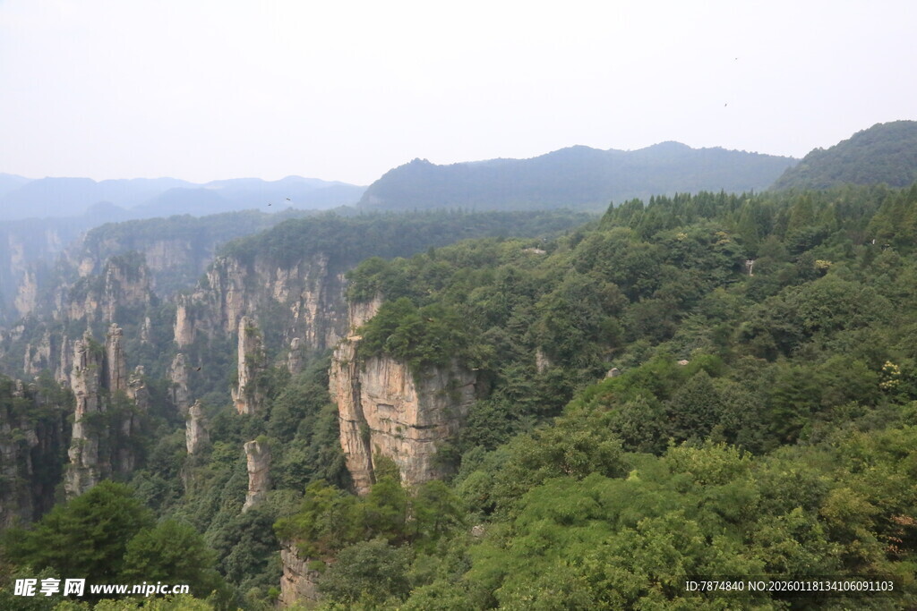 张家界奇峰峻岭绿意盎然