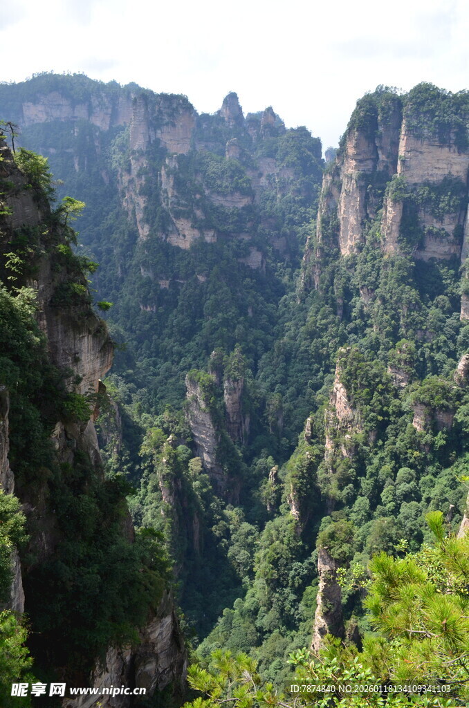 壮丽奇峰 绿意盎然的山景