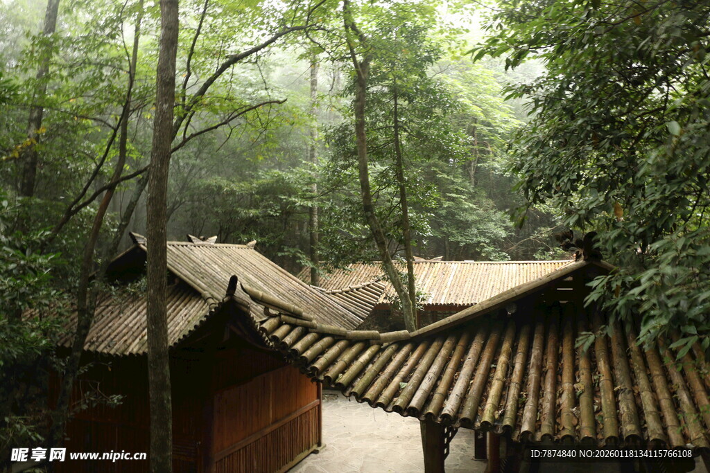 林中古建 静谧中式景致