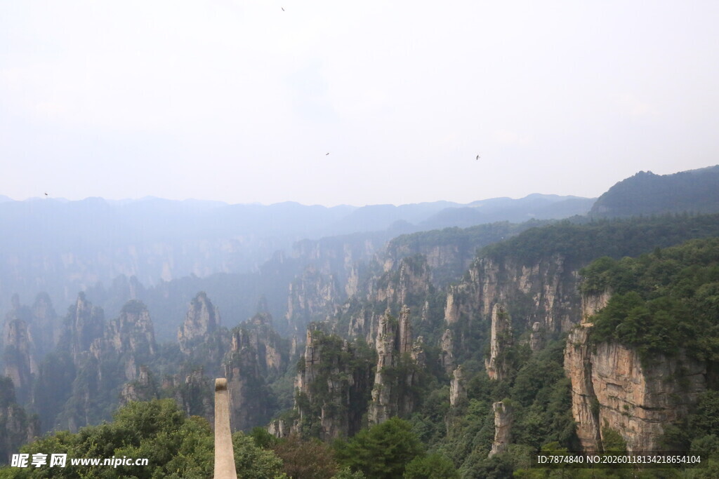 张家界奇峰美景