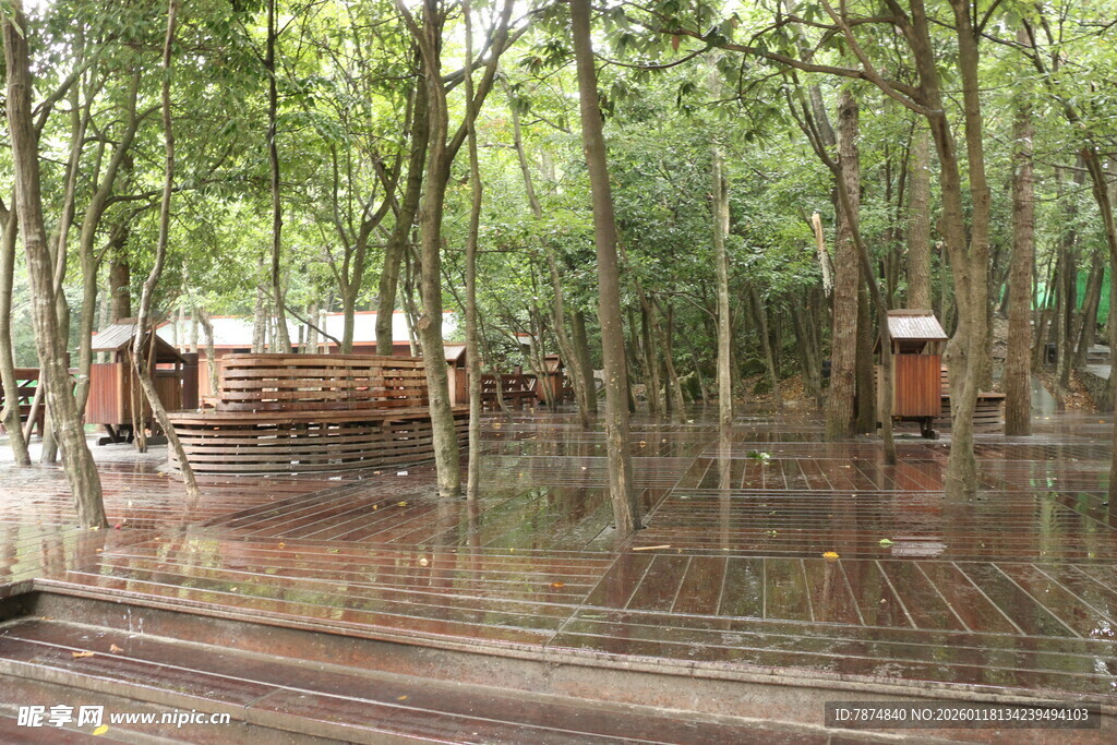 森林中被水淹没的木质建筑