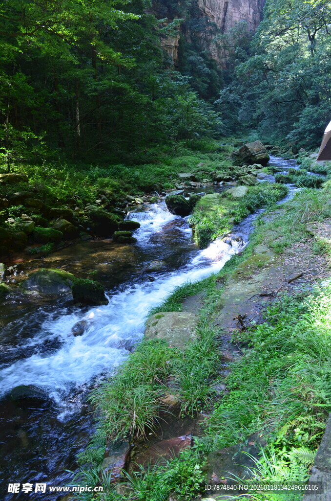 山间溪流 绿意盎然的景致