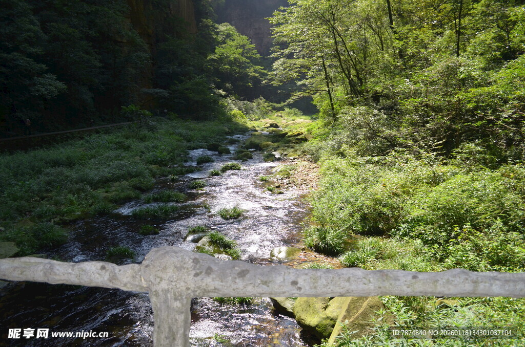 木栏前的山间溪流美景