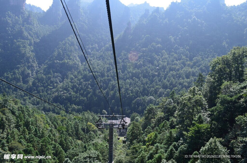 山间缆车穿梭茂密山林