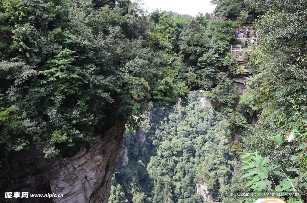 险峻峡谷中的葱郁山林