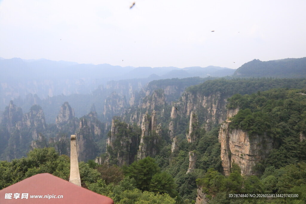 张家界奇峰美景