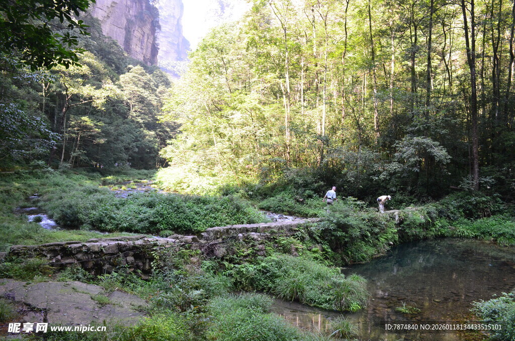 山间溪流旁的静谧小道