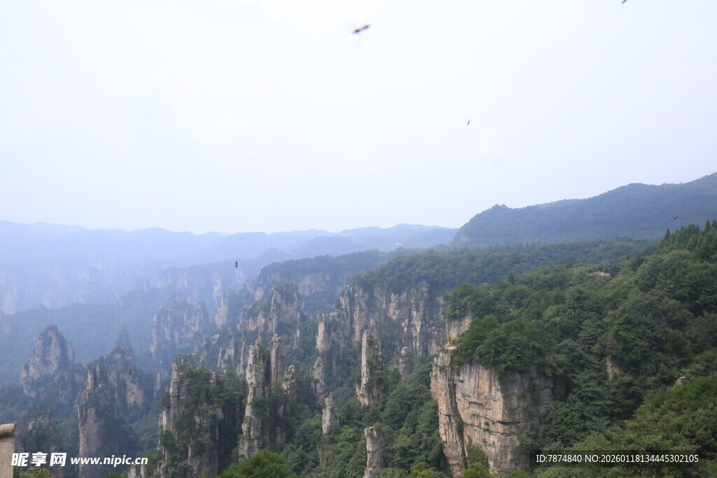 张家界奇峰美景