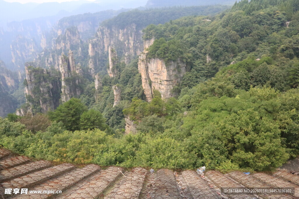 俯瞰张家界奇峰绿树