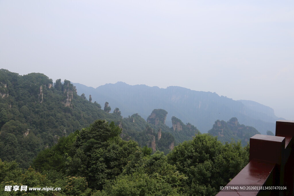 山间绿意景观