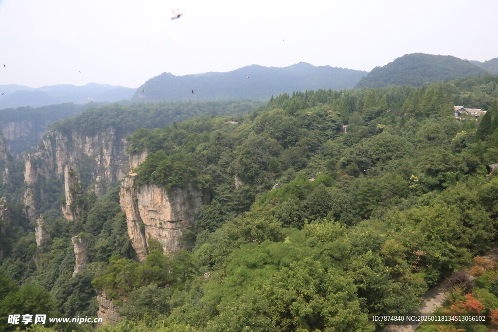 壮丽山峦森林景观