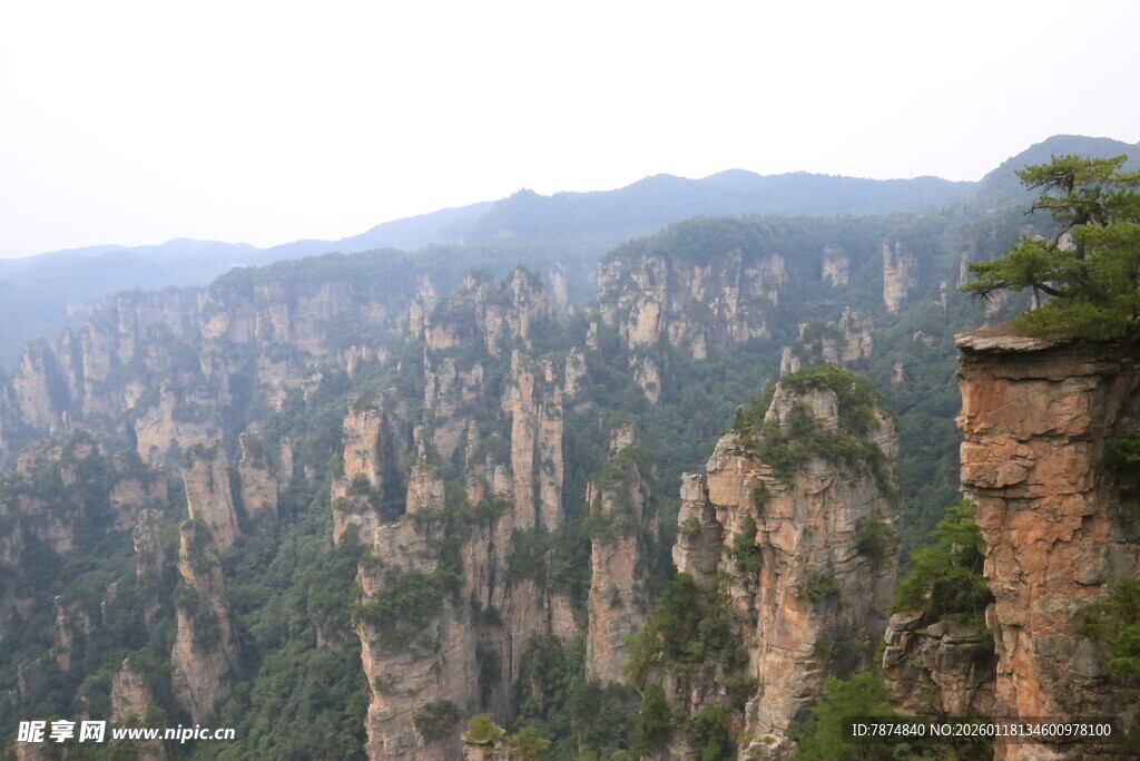 张家界奇峰美景