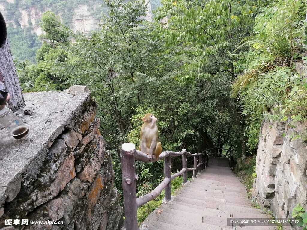 山间石径漫步景