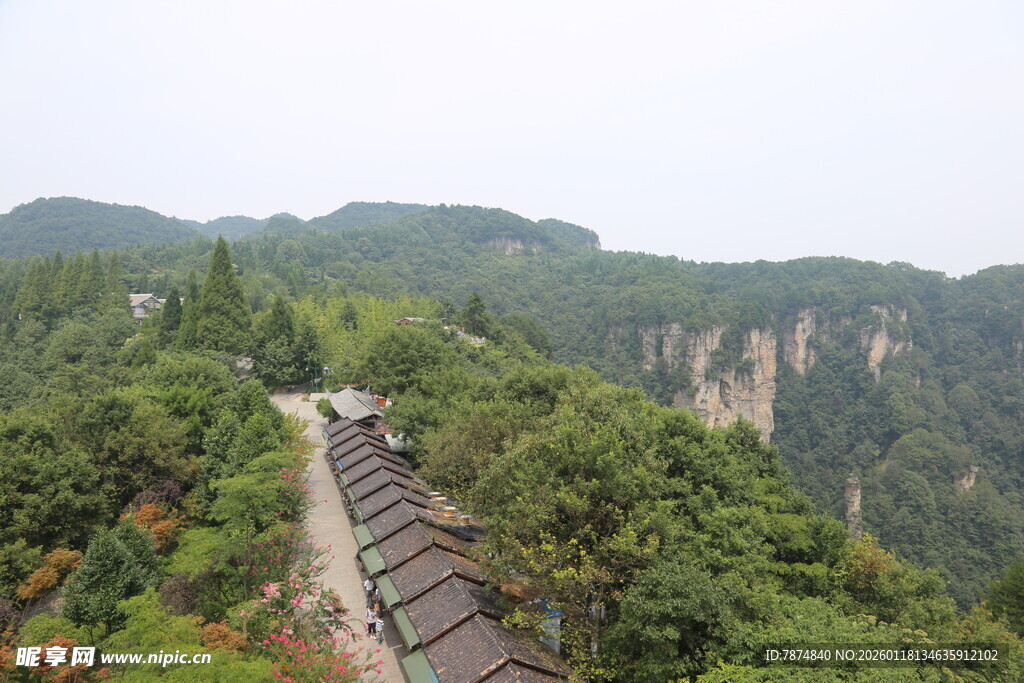 山间栈道伴葱郁山林