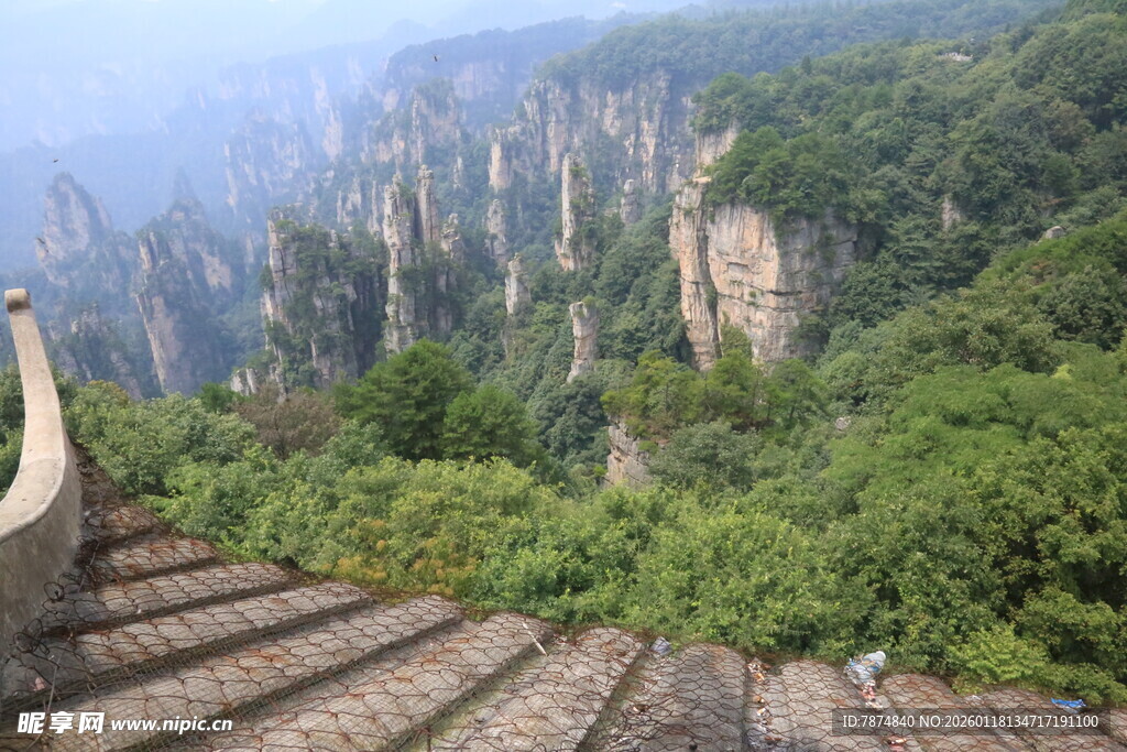 张家界奇峰与林间石阶