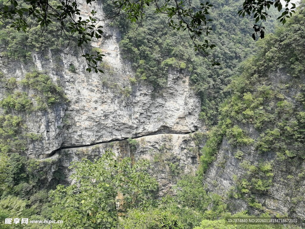 山间栈道隐于葱郁山林
